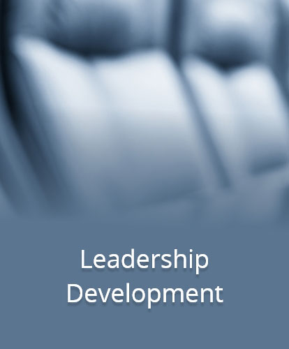 Leadership Development image