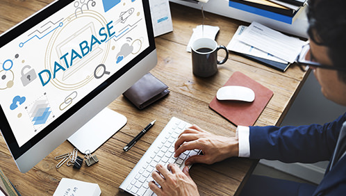 IT Platform Services